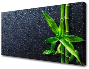 Vászonkép nyomtatás Bamboo Stem növény természet 100x50 cm