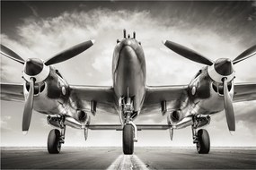 Kép - Warbird (90x60 cm)
