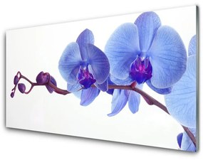 Akrilkép virágok növények 100x50 cm