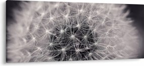 Pitypang képe (120x50 cm)