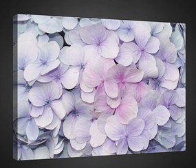 Faliképek Vászonkép virágok 100x75