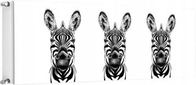 Mágneses Radiátorszőnyeg 160x60 Zebra Fotótapéta