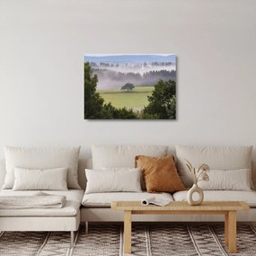 Egy kép a rétről egy fával (üvegen) (70x50 cm)