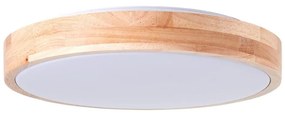 Brilliant Brilliant - LED Mennyezeti lámpa SLIMLINE LED/14W/230V 3000/4000K BI0130
