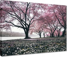 Vászonkép 40x30 Fa Fák Kilátás