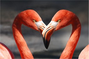 Két szerelmes flamingó képe (90x60 cm)