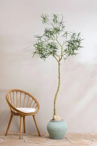 Pottery Pots Zeusz virágcserép, rusztikus zöld színű, több méretben - PotteryPots méret: H - ø 69 cm | m. 58 cm