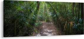 Kép - Napsugarak a dzsungelben (120x50 cm)