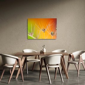 Cseppek a növényen képe (üvegen) (70x50 cm)
