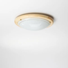 Rabalux 5411 - Mennyezeti lámpa UFO 1xE27/60W/230V