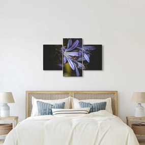 Kép - Lila (90x60 cm)