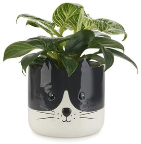 Kerámia virágcserép ø 13,5 cm Kitty – Balvi