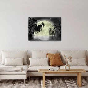 Kép - Telihold a felszín felett, fekete-fehér változat (70x50 cm)