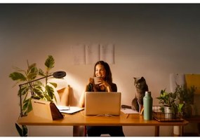 Ledvance - LED Dimmelhető lámpa csipeszes SUN@HOME LED/15W/230V CRI 95 Wi-Fi