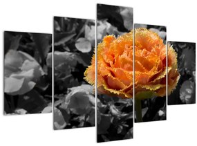 Virág képe (150x105 cm)