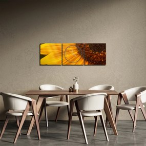Kép - Napraforgók (órával) (90x30 cm)
