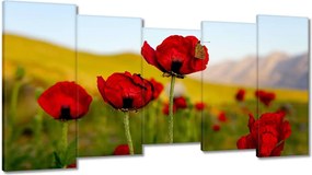 Vászonkép 150x80 Piros pipacs Virágok Hegyek