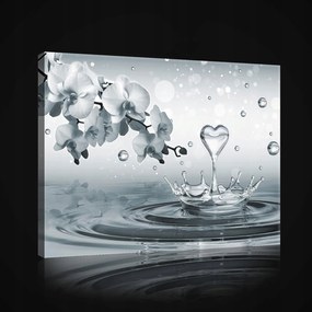 Vászonkép falikép szürke fehér orchidea víz 100 x 75