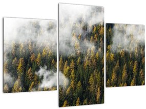 Egy erdő képe a felhők között (90x60 cm)
