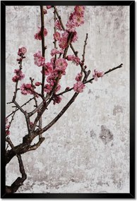 Poszterek keretben 40x60 Virágok