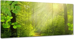 Vászonkép 180x90 Varázslatos erdő Sugárzás