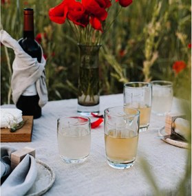 Libellules üvegpohár, 280 ml - La Rochère