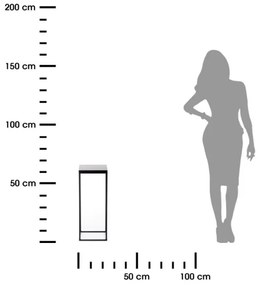 BASICLOFT virágtartó állvány 60x24 cm fekete