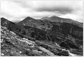 Poszterek 155x105 Tátra Lengyel hegyek Kilátás