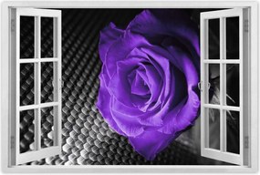 Poszter 60x40 Lila rózsa