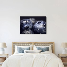 Vízcseppekkel ellátott gyümölcs képe (90x60 cm)