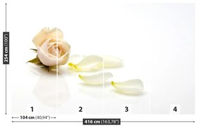 Fotótapéta rózsaszín rózsa 104x70 cm