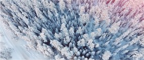 Havas fák képe (120x50 cm)