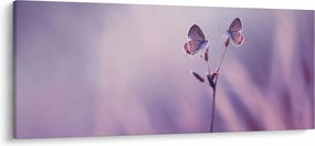 Kép - Lila pillangók (120x50 cm)