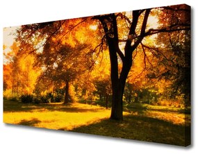 Canvas kép Fák őszi természet 125x50 cm