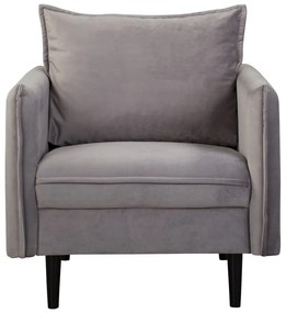 Szürke bársony fotel Juli – Ropez