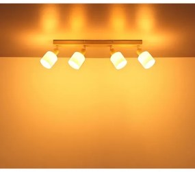 Globo 54114-4 - TRENT spotlámpa 4xE14/25W/230V