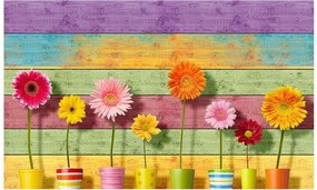 Fotótapéta virág deszka fotótapéta 368 x 254