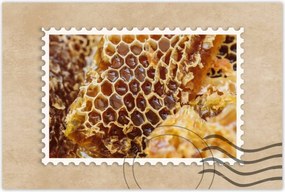 Poszterek 90x60 Sárga méhsejt