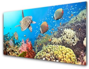 Akrilkép Korallzátony táj 125x50 cm