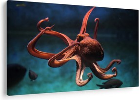 Kép - Octopus (90x60 cm)