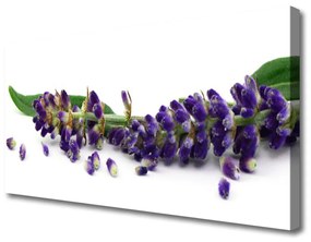 Canvas kép Lavender Csendélet 100x50 cm