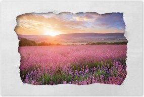 Poszterek 60x40 CsodĂĄlatos naplemente