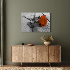 Kép - Narancs Rózsa (90x60 cm)