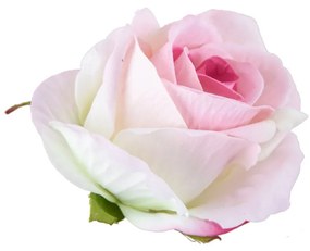 Bársony rózsafej, 8cm - Rose pink