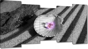 Képek 150x80 Kagyló és gyöngy Homok