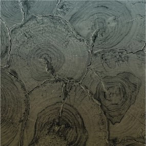 Fotótapéta Flizelin Dekoratív Hálószoba Fa tégelyek 250x250