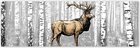 Poszterek 200x66 Szarvas Nyírfa Erdő