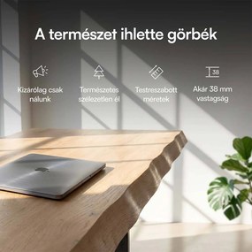 Elektromosan állítható magasságú asztal Liftor Expert