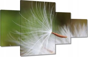 Vászonkép 130x80 Pitypang Virág Virágok