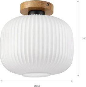 Mennyezeti lámpa HARMA WOOD 1xE27/15W/230V tölgy/fehér átm. 25 cm